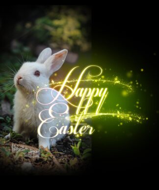 Cute Happy Easter Bunny - Colorful Royalty-Free Stock Images and Animations at Budget Price
